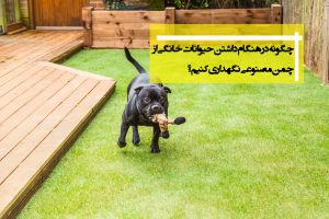 نظافت چمن مصنوعی